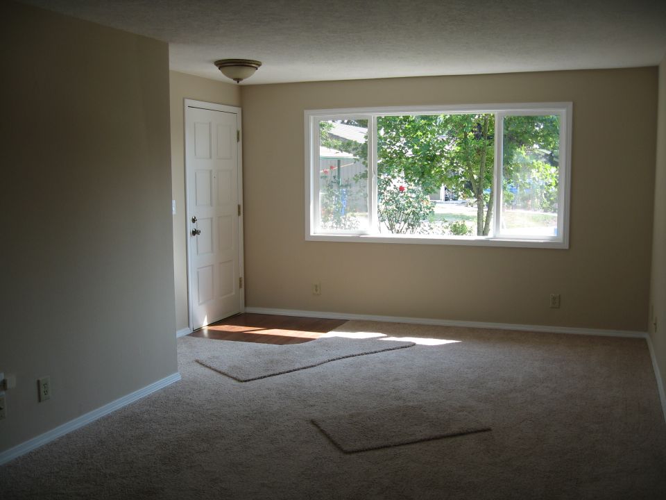 Interior of a room with beige walls, carpet, a white door, and a large window showing trees