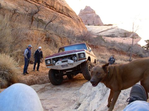 1978 Ford Bronco photo