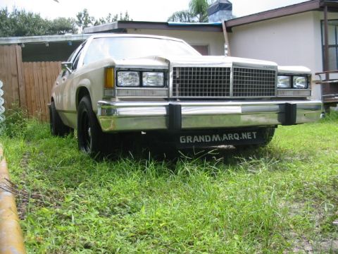 1985 Ford LTD Crown Victoria - Front view of a tan 1980 Ford Crown Victoria parked on grass with a house and fence in the background.