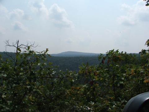 1996 Ford Bronco - A view of rolling hills covered in trees under a cloudy sky, with a car fender visible in the foreground.
