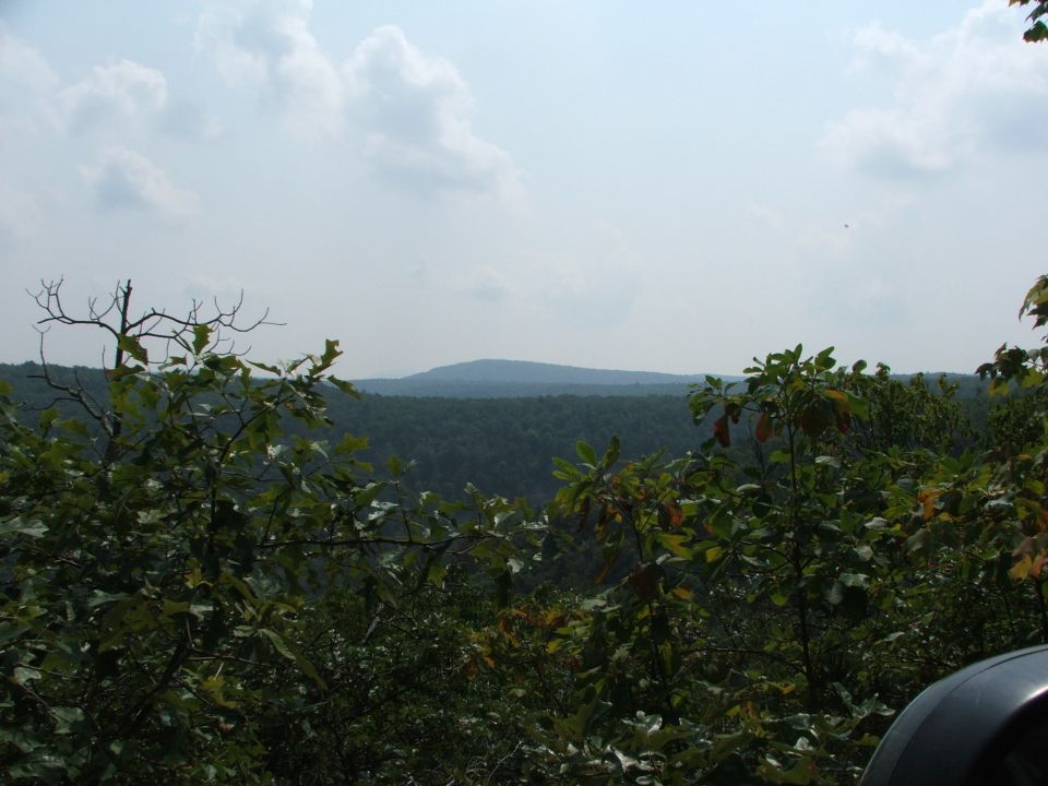 Dark car fender in lower right corner against a backdrop of dense green trees and a hazy blue sky with clouds