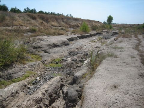 1995 Ford Bronco - A dry creek bed shows tire tracks in the rocky terrain, with a Supermotors.net logo in the lower right corner.