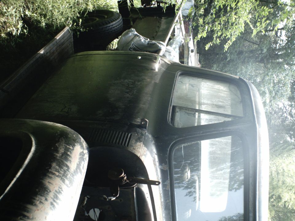 Old dark green truck cab, weathered paint, spare tire in bed, overgrown vegetation
