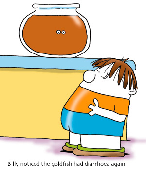 1999 Ford Crown Victoria - A humorous cartoon depicts a boy's observation about his goldfish's digestive issues.