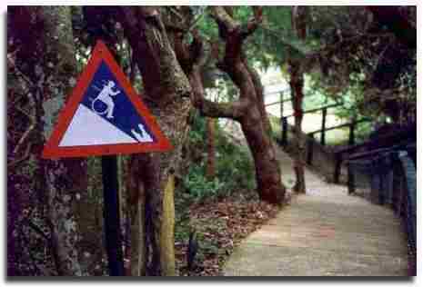 1999 Ford Crown Victoria - A warning sign indicates a steep slope along a paved path bordered by trees and a railing.
