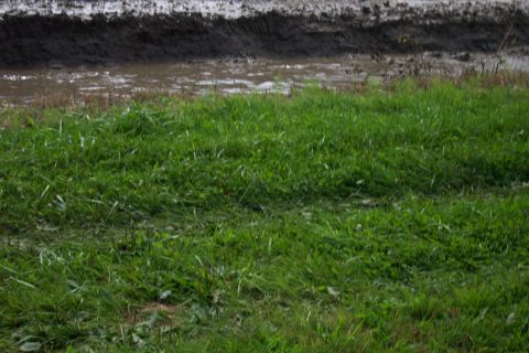 1979 Ford Bronco - A muddy track and grass are visible, with a website logo in the lower right corner.