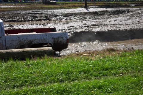 1979 Ford Bronco - A pickup truck is stuck in a mud pit during an event.