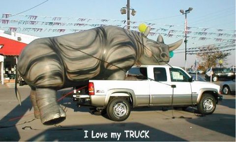 1999 Ford Crown Victoria - A white pickup truck is loaded with a giant inflatable rhinoceros on a sunny day.