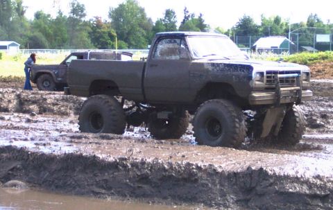 1979 Ford Bronco - Two trucks are stuck in the mud at an off-road event.