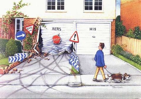 1999 Ford Crown Victoria - A man and his dog walk past a damaged garage door, with various traffic signs nearby.