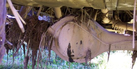 1979 Ford Bronco - The underside of a vehicle is obscured by mud and plant matter, with a prominent rear differential visible.