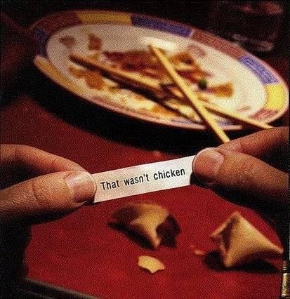 1999 Ford Crown Victoria - A fortune cookie message reveals a surprising truth about a meal.