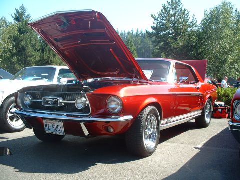 2000 Ford Crown Victoria - A shiny red 1967 Ford Mustang coupe is displayed with its hood open, a custom "MZ RUBY" license plate.