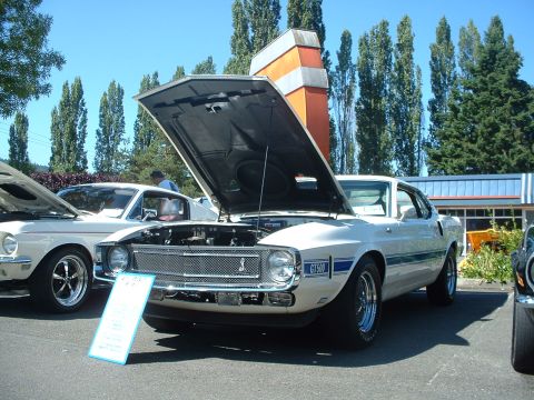 2000 Ford Crown Victoria - A white 1969 Shelby GT500 is displayed with its hood open at an outdoor car show.