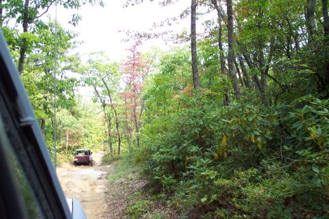1987 Ford Bronco - A red SUV navigates a muddy dirt road surrounded by dense trees and foliage.