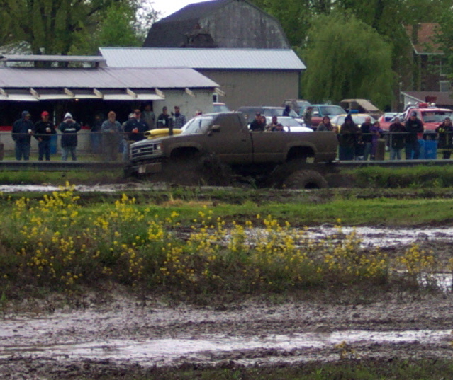 Muddy pickup truck stuck in a mud pit with yellow flowers in the foreground