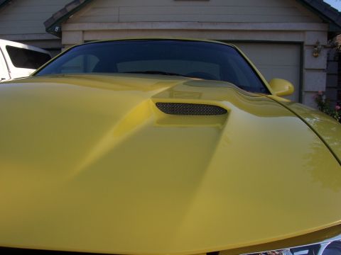 2002 Ford Mustang - This yellow car's hood features a prominent vent, suggesting a model year around 2005.
