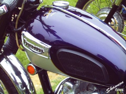 1982 Ford Bronco - A close-up view of the fuel tank and side panel of a vintage Triumph motorcycle.
