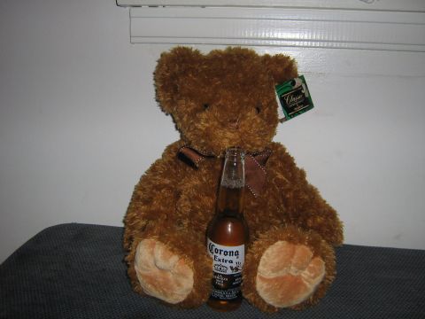 1995 Ford Bronco - Teddy bear with a Corona Extra bottle in front of a wall.