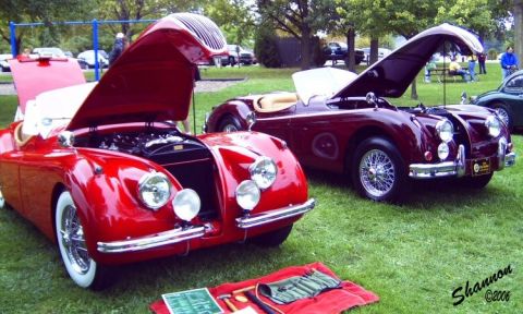 1982 Ford Bronco - Two classic Jaguar XK140 roadsters are displayed with their hoods open, their engines and a set of tools laid out nearby.