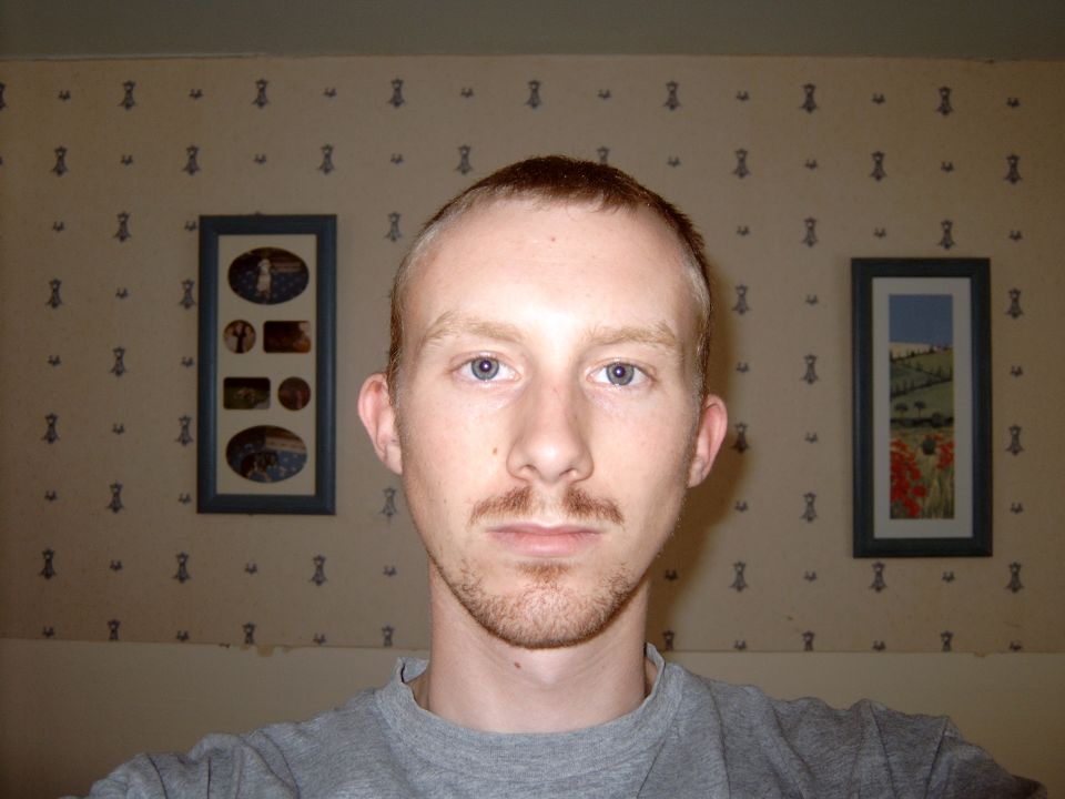 Young man with short red hair and goatee in a gray shirt, framed pictures on patterned wall behind