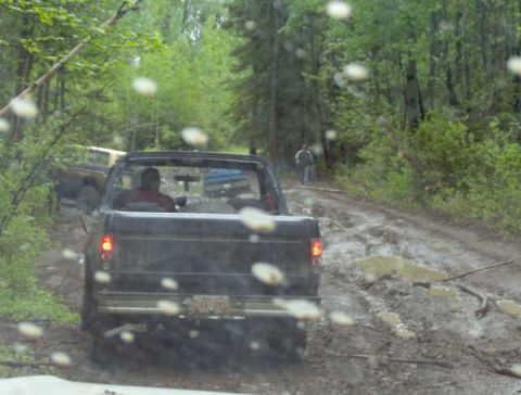 1989 Ford Bronco - My best pic with the new back bumper, Coming up on chevy with 44's stuck in the same hole adam was.