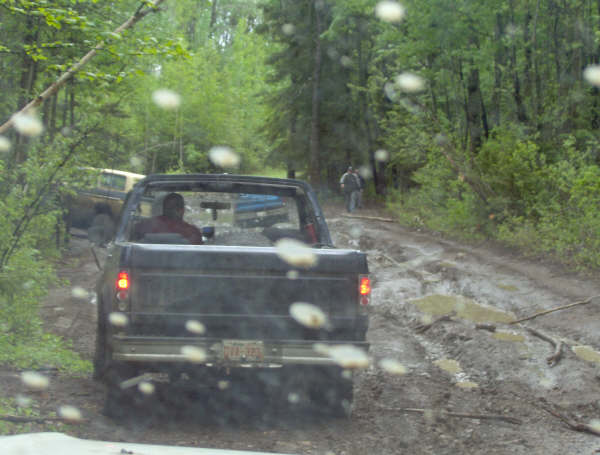 My best pic with the new back bumper, Coming up on chevy with 44's stuck in the same hole adam was.