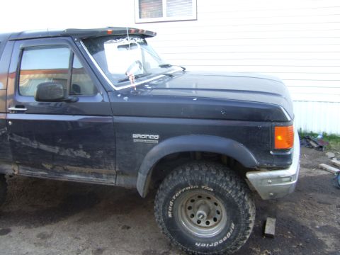 1989 Ford Bronco - This Ford Bronco appears to be from the 1987-1991 model range, not a 1989.