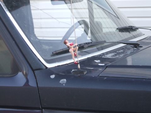 1989 Ford Bronco - My friendly neighbourhood pole dancer. Keeps me company on the road. From prankplace.com