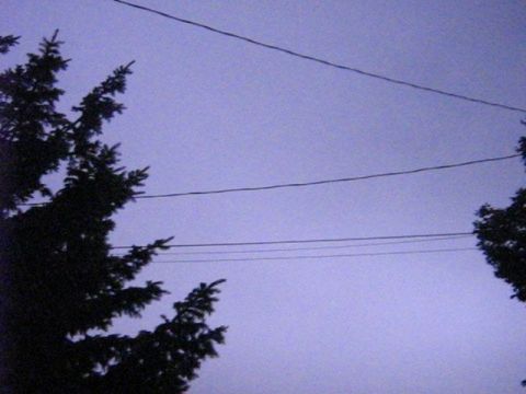 1995 Ford Bronco - Overhead wires and trees are silhouetted against a purple sky, with a "Supermotors.net" watermark in the lower right corner.