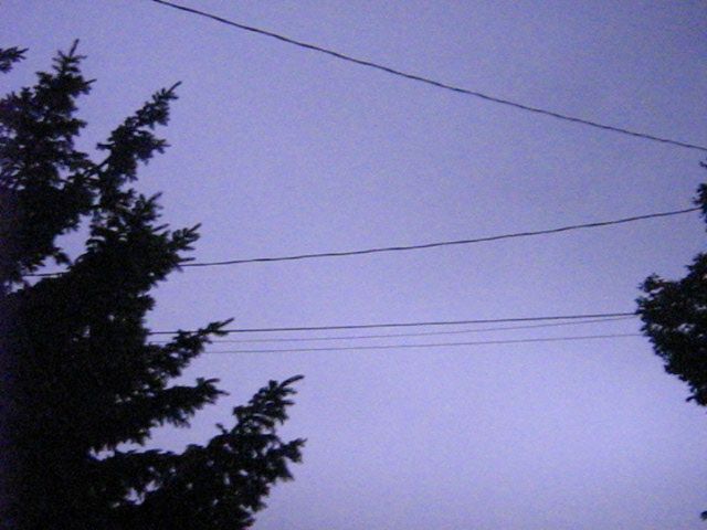 Overhead wires and silhouetted trees against a purple sky