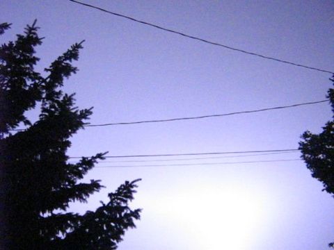 1995 Ford Bronco - Power lines and trees against the sky. Supermotors.net logo visible.