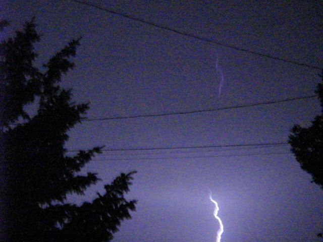 Lightning strike illuminates the night sky over silhouetted trees and power lines