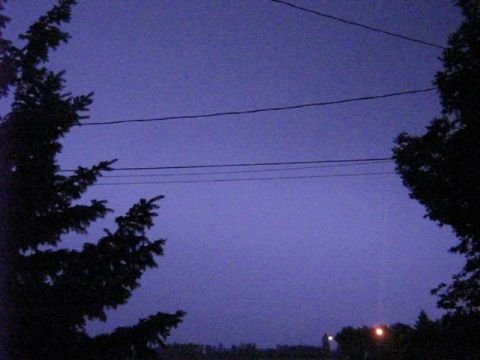 1995 Ford Bronco - Power lines are visible against a dark, twilight sky, framed by silhouetted trees.
