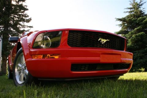 2006 Ford Mustang photo