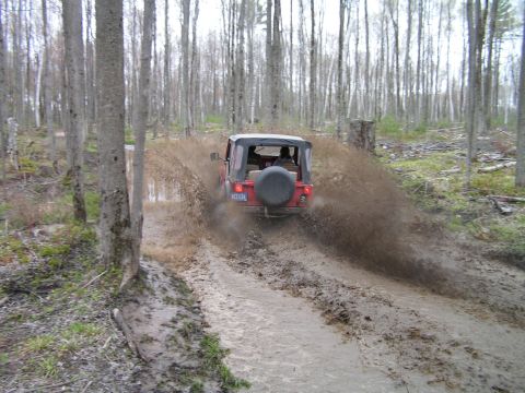 1979 Jeep CJ5 - A red Jeep Wrangler kicks up a large spray of mud as it navigates a wet, wooded path.