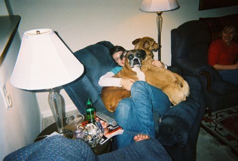 1988 Ford Bronco - A person relaxes on a couch with two dogs, while another person sits in a chair nearby.