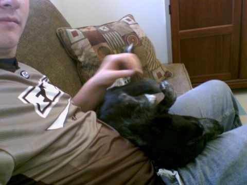 1995 Ford Bronco - Person holding a black dog while sitting on a couch.