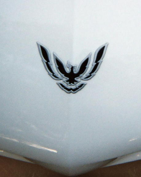 1997 Pontiac Firebird photo