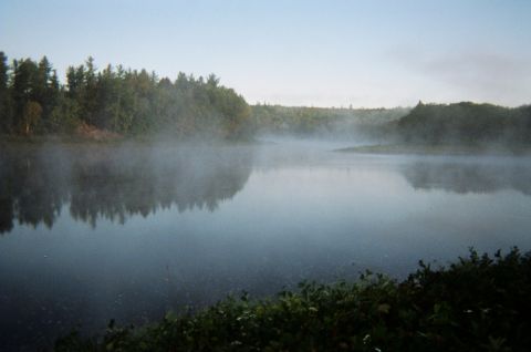 1984 Ford Bronco - Calm lake scene with fog rolling over the water and trees in the background.