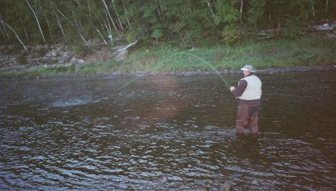 1984 Ford Bronco - A lone angler casts a line into the flowing water, surrounded by trees on the bank.