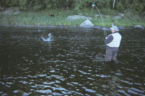 1984 Ford Bronco - A man stands in a river, fly fishing with a rod and line, while a fish jumps in the water.