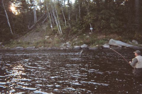 1984 Ford Bronco - A person is fly fishing in a river with a forested bank in the background.