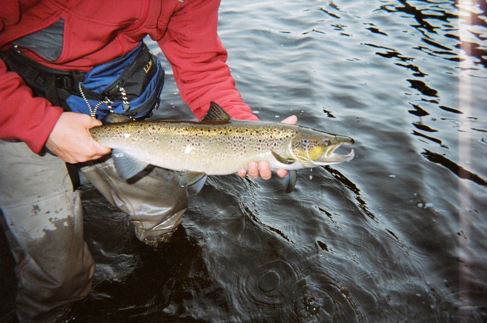 Person in waders holding a large salmon from the water