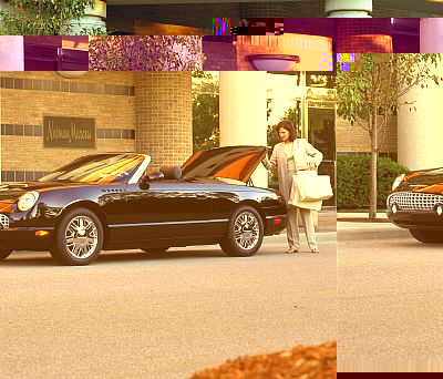 2002 Ford Thunderbird - A woman stands by a black 2002 Ford Thunderbird convertible parked in front of a building.
