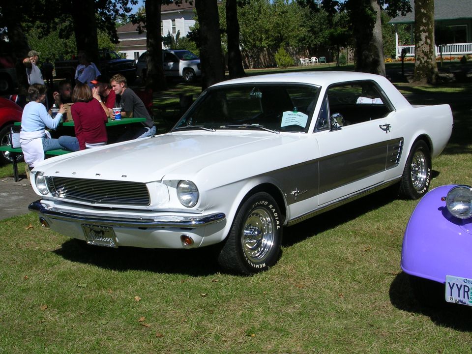 White 1965 Ford Mustang parked on grass, people at picnic table in background. Purple car in foreground
