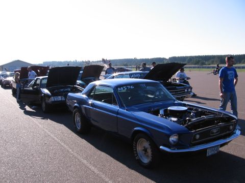 1989 Ford Mustang - Several classic cars are lined up with their hoods open on a sunny day at what appears to be a car show or track event.