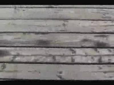 1989 Ski-Doo Formula Plus - A huge ramp was built at the end of our dock aiming out into the lake. Joel, Conwell, and Scott jumped it a bunch of times with a pedal bik…
