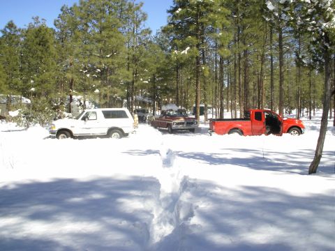 1996 Ford Bronco - Several vehicles are stuck in deep snow in a wooded area.
