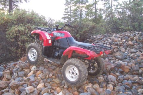 1994 Ford F-150 - ATV parked on a rocky surface with trees and bushes in the background.